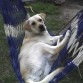 MORENA TOMANDO UNA SIESTA EN LA CAMA PARAGUAYA